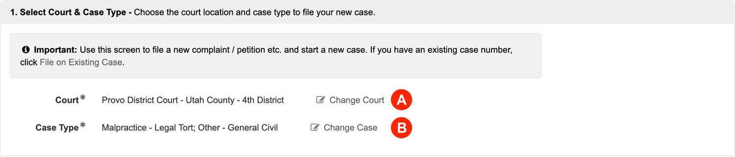 Select Court & Case Type
